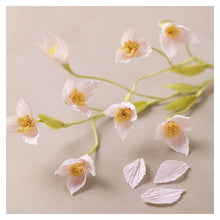 Load image into Gallery viewer, Creativ - Crepe Paper Flower Making Craft Kit - Cherry Branch

