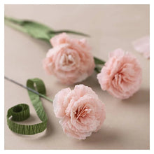 Load image into Gallery viewer, Creativ - Crepe Paper Flower Making Craft Kit - Carnations
