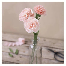 Load image into Gallery viewer, Creativ - Crepe Paper Flower Making Craft Kit - Carnations
