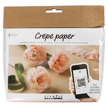 Load image into Gallery viewer, Creativ - Crepe Paper Flower Making Craft Kit - Carnations
