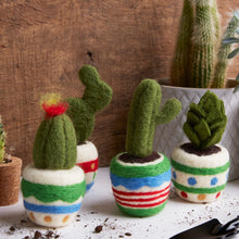 Load image into Gallery viewer, Simply Make - Needle Felting Kit - Cactus 4 Pack
